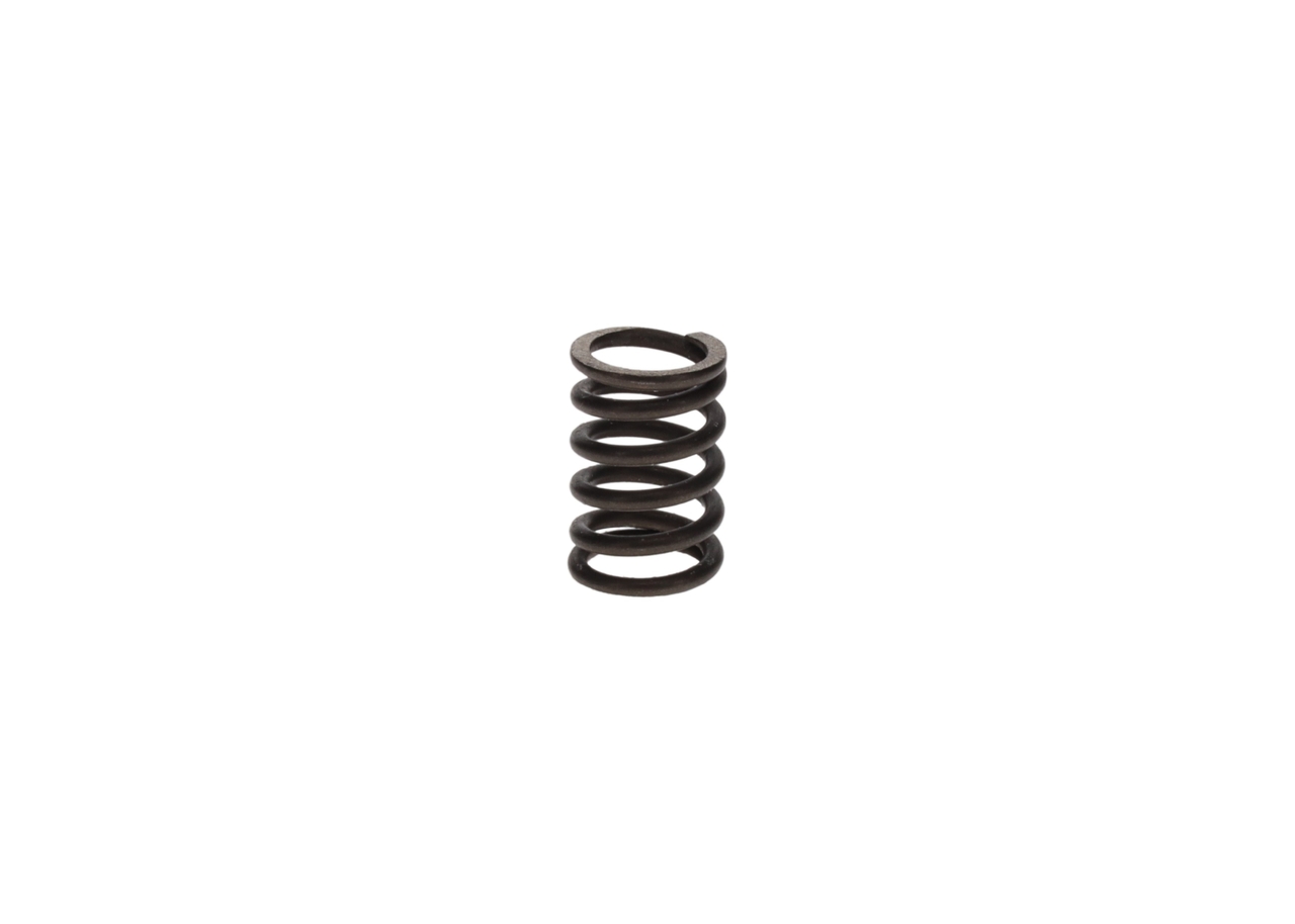 BOSCH 1 464 618 999 Molla