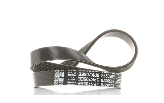 5x705 DAYCO 5PK705EE Courroie Poly-V