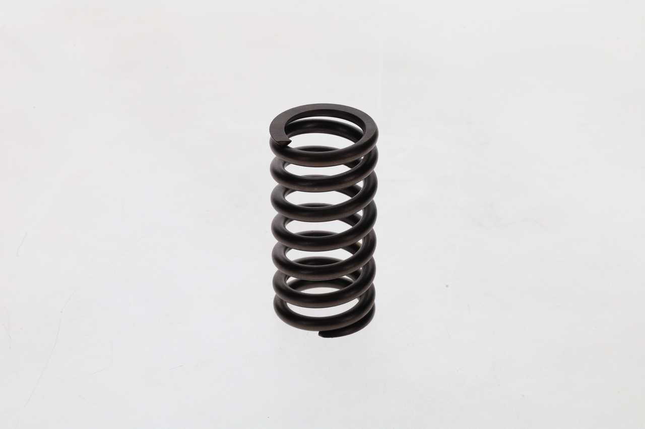 Spring 244731 BOSCH 2414619011 VOLVO