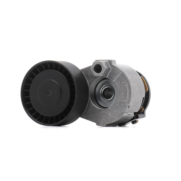 7275300 Spannrolle SKF MERIVA Preis