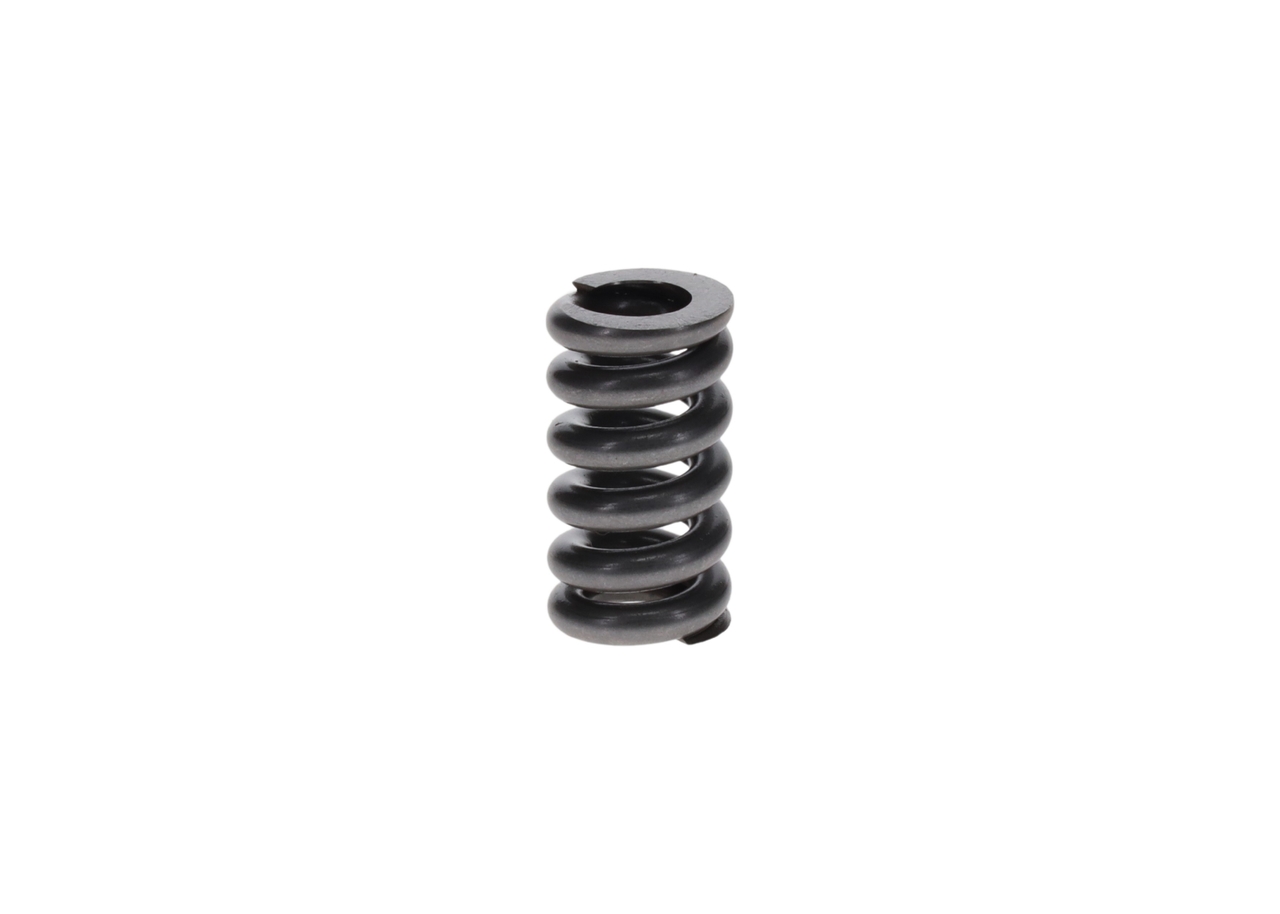 BOSCH 2 434 619 009 Пружина