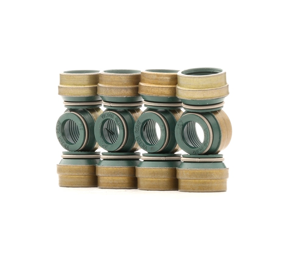 Dichtungssatz, Ventilschaft REINZ 12-25837-03 Bewertung