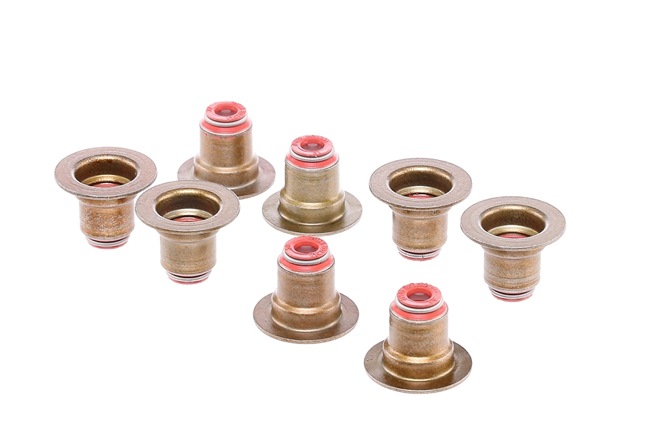 REINZ 7440027 joint de tige soupape Ford Fiesta Mk5 prix
