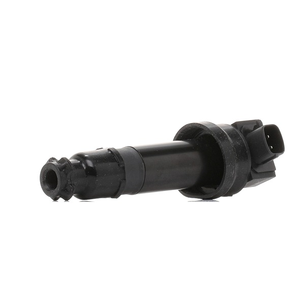 MAGNETI MARELLI 060717111012 Bobine