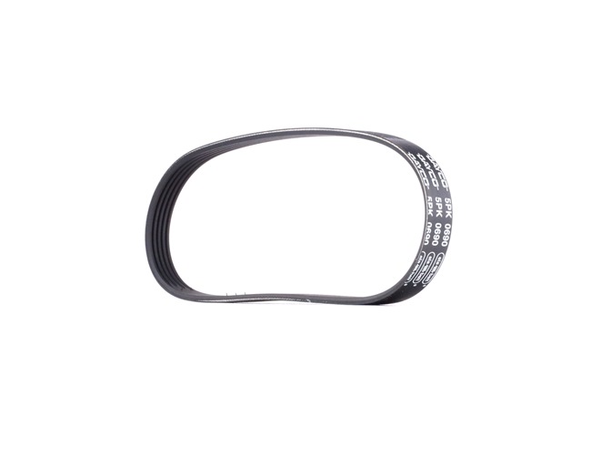 Multiriem 2S6E-6C-301CB DAYCO 5PK690EE FORD, MAZDA, FORD USA, ASIA MOTORS