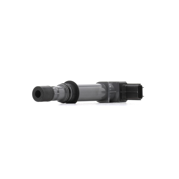 Bobina Avvolgimento Acciaio Bobina Di Accensione Delphi Technologies GN10886 -12B1 - Alta Prestazione Per Veicoli Bobina Accensione Delphi GN10886-12B1