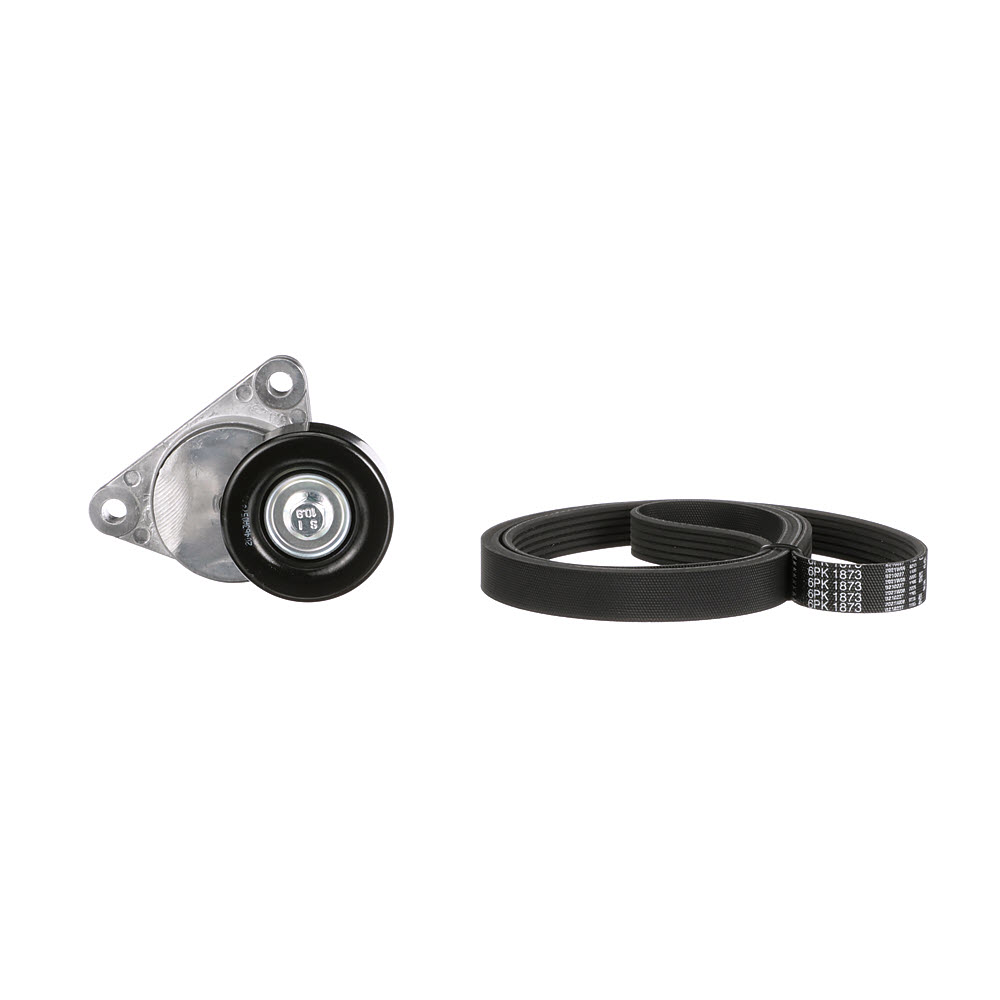 T38376 GATES K036PK1873 multiriem Chevrolet Aveo Schrägheck prijs