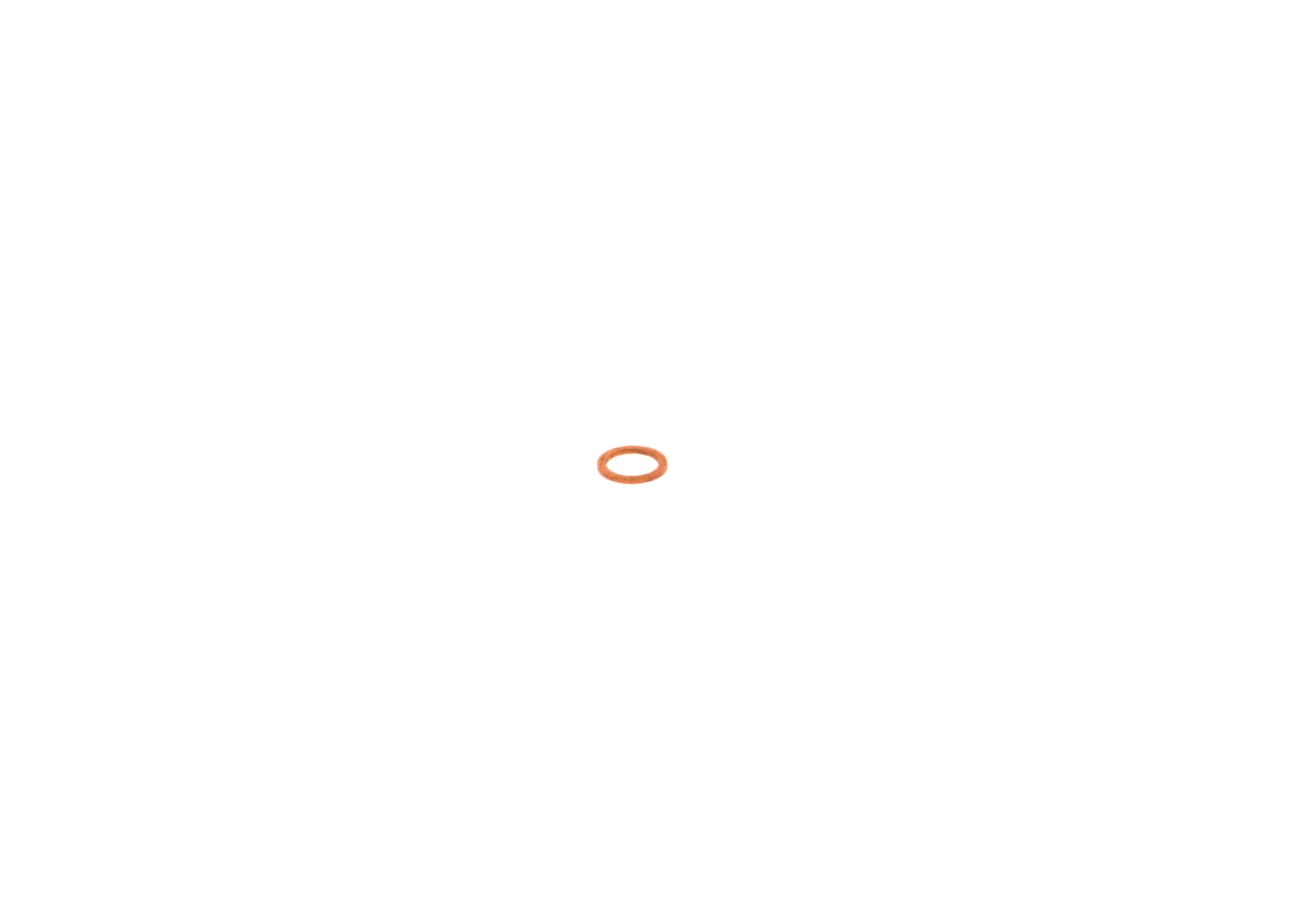 OEN 21018246 Seal Ring BOSCH 2 916 710 603