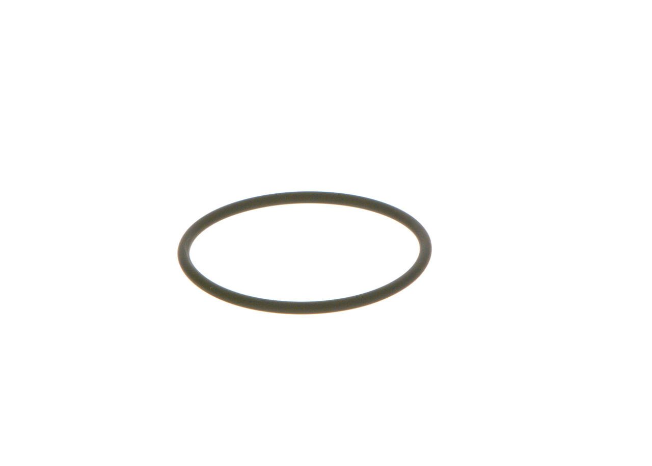 Tetningsring 7701064296 BOSCH F00N202130 FIAT, RENAULT