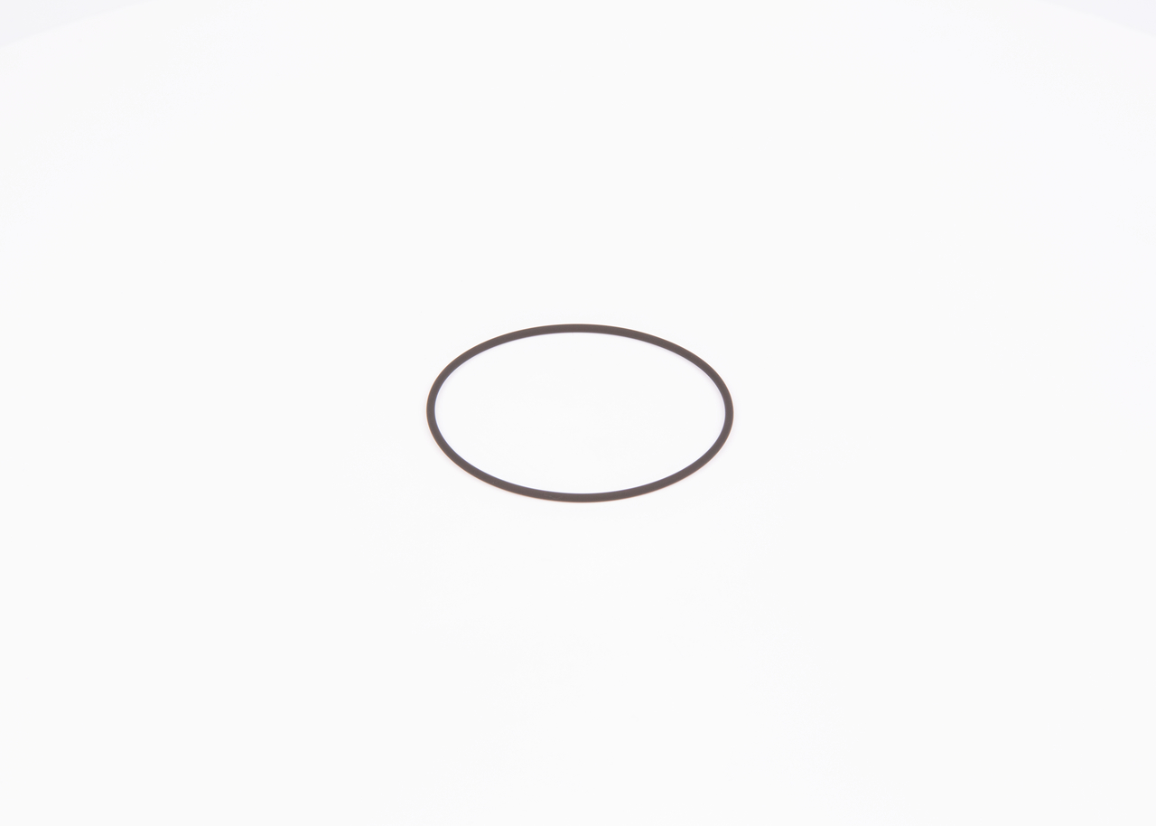 OEN 3008075 Dichtring BOSCH F 01M 100 371
