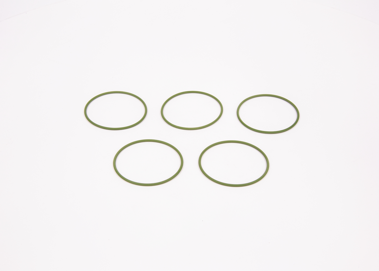 OEN 21018246 Dichtring BOSCH F 01M 100 048