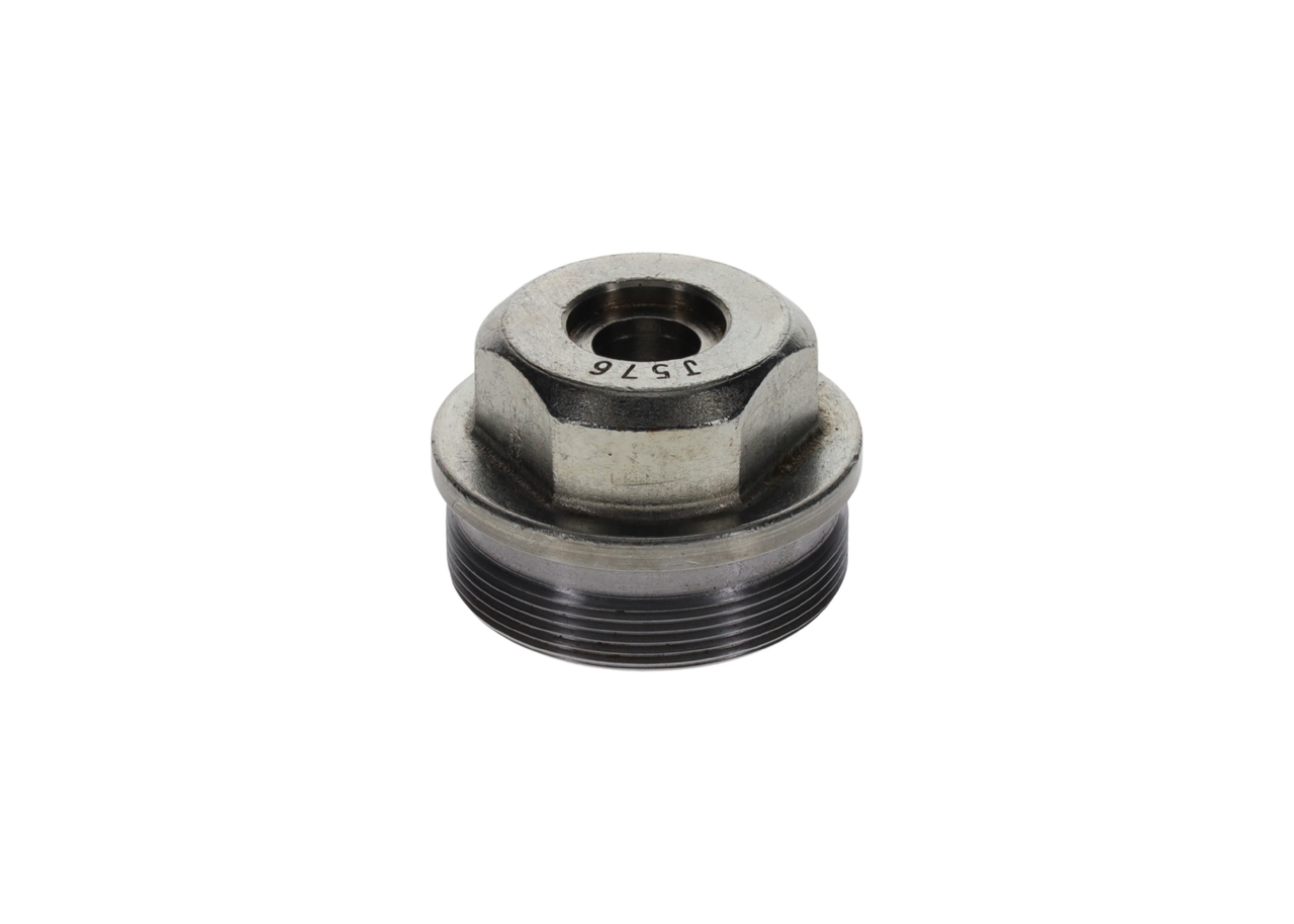 Boulon BOSCH F 002 D13 576