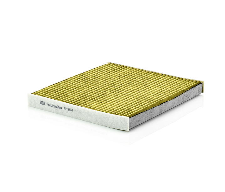 7624538 MANN-FILTER FP2544 Pollenfilter FIAT kosten