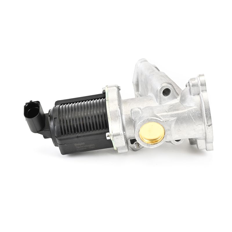 DELPHI EG10258 EGR Fiat Panda 169 kosten