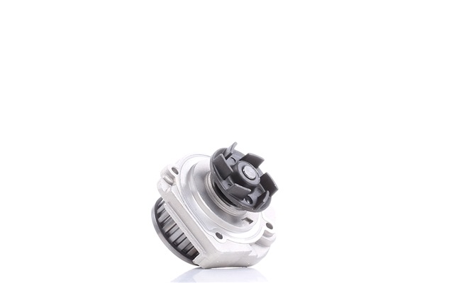 DOLZ S161 Wasserpumpe