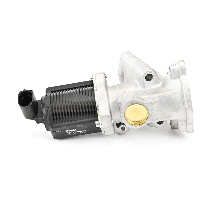 EG10257 Valvola ricircolo gas scarico-EGR DELPHI Opel costo