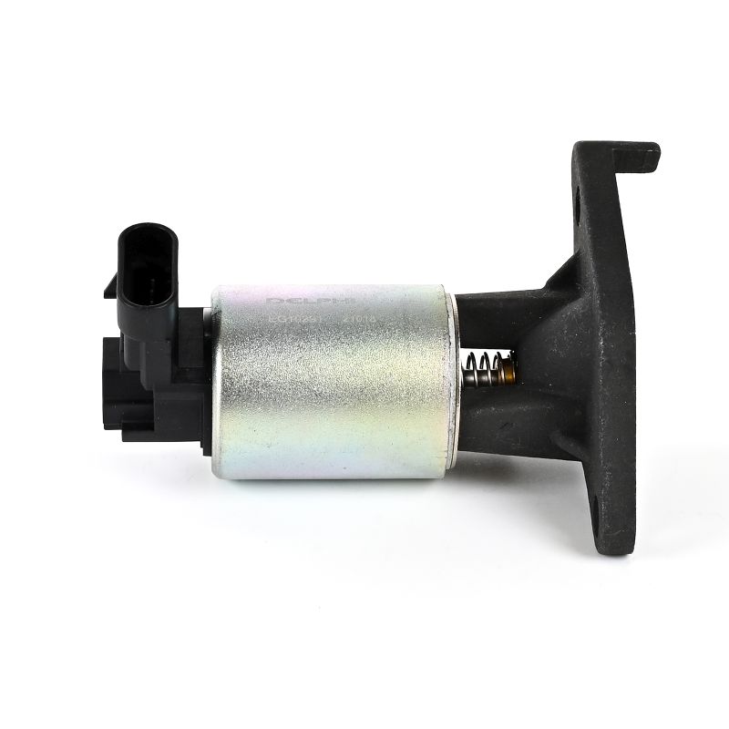 Válvula de recirculação dos gases de escape DELPHI EG10291-12B1