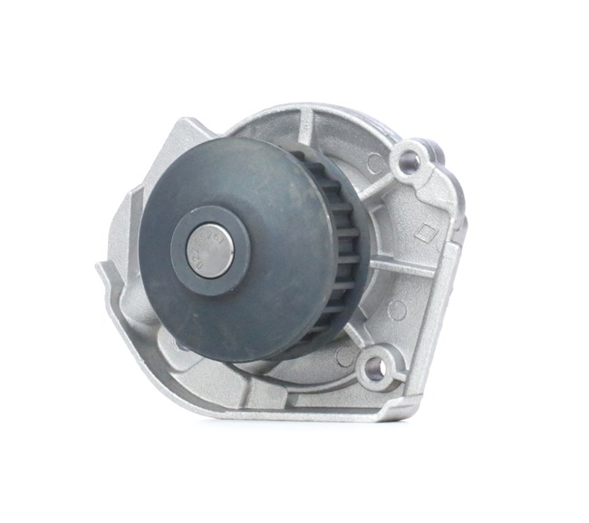 DOLZ S261 Wasserpumpe