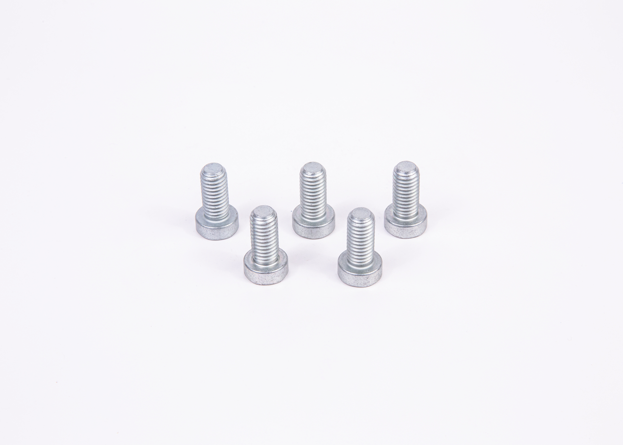 221220 BOSCH Schraube F 01M 100 684