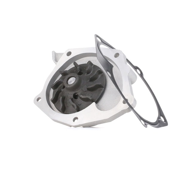 DOLZ R233 Pompe à eau