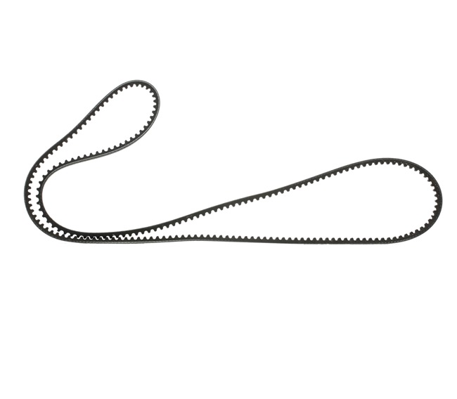 Keilriemen 6239ESC GATES 81968200046 MAN