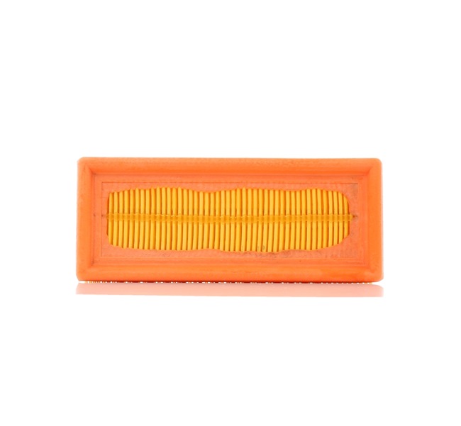 Filtro aria PURFLUX A1123