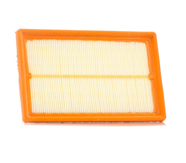 Luchtfilters PURFLUX A1253