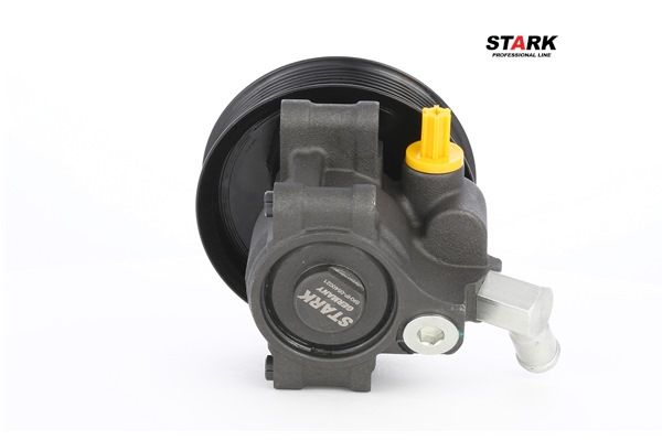 Servopumpe RM1C1J 3A696 BB STARK SKHP-0540021 FORD
