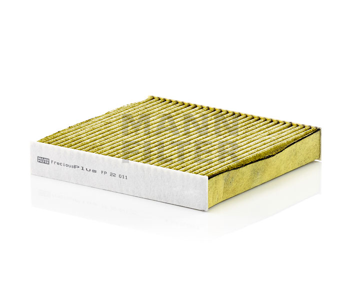 Filtru, aer habitaclu MANN-FILTER FP22011 Rafale Coupe (DHN) piese auto originale online
