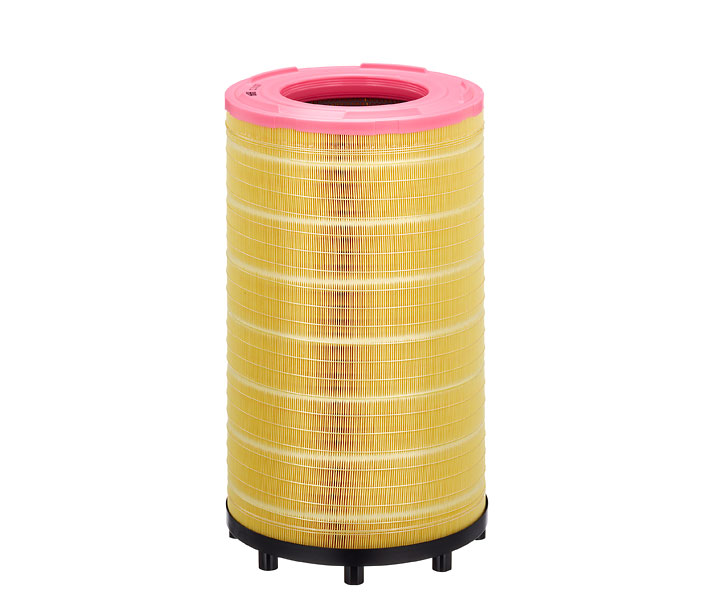 MANN-FILTER C 31 017 Filtre à air