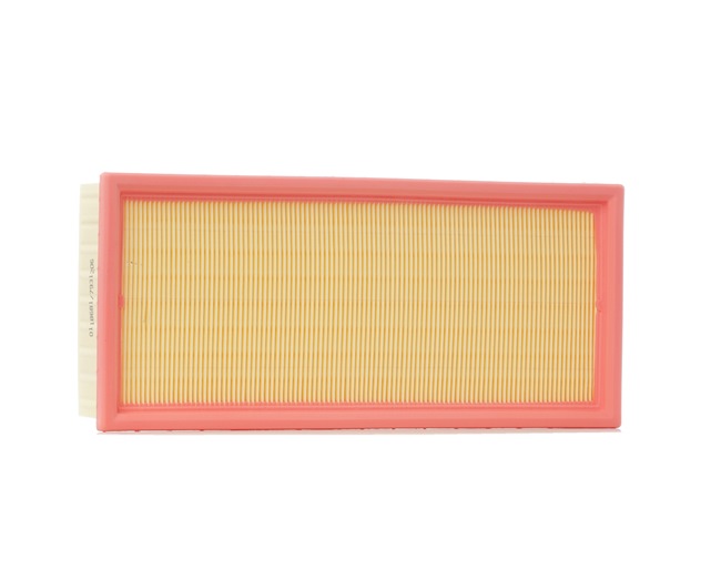Air filter 13 72 1 738 463 STARK SKAF-0060245 BMW, ALPINA