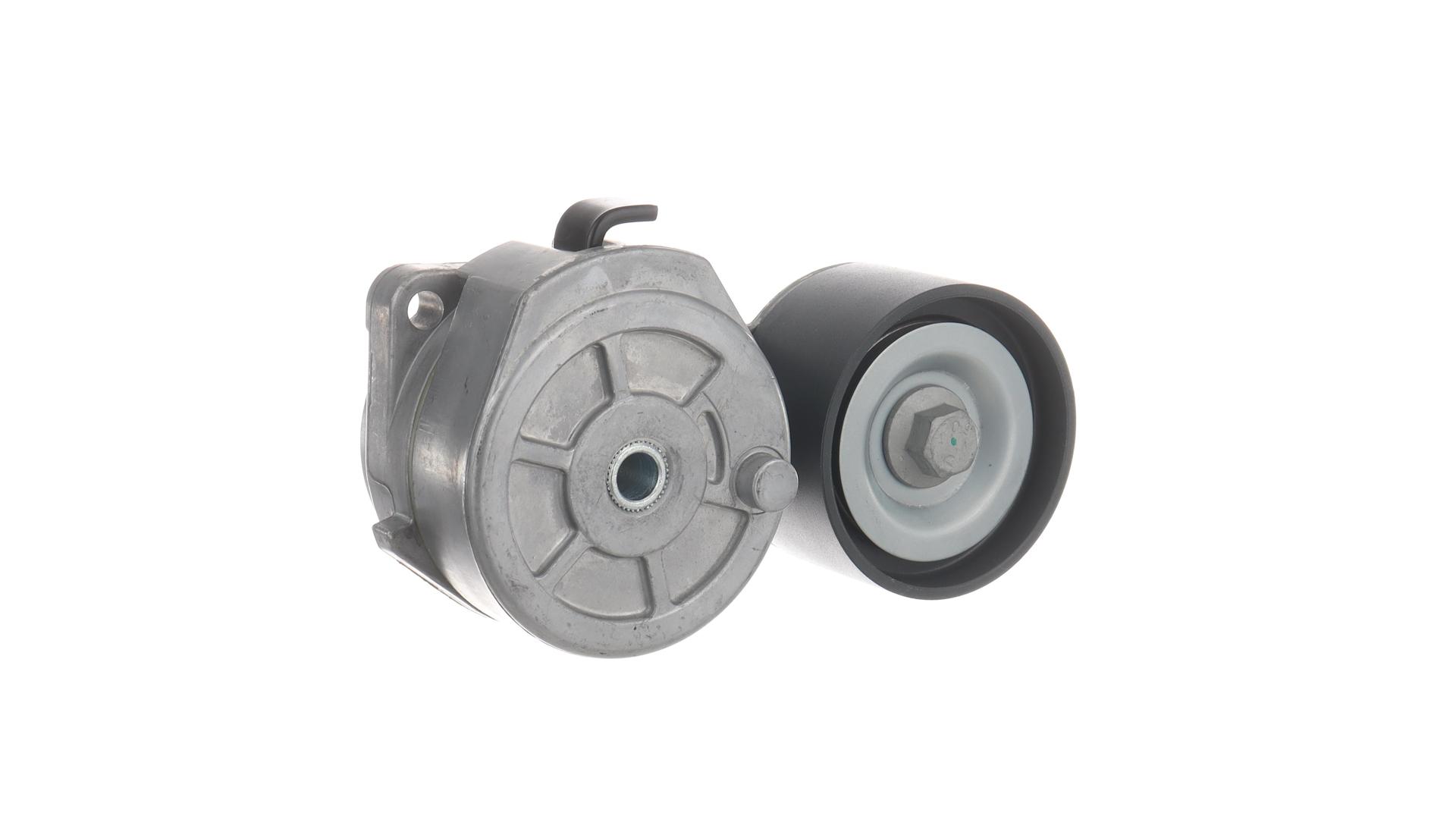 SKF VKMCV 56013 Spanrol, poly V-riem