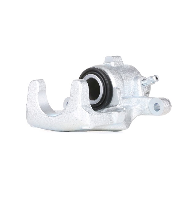 Jarrusatula STARK SKBC-0460248