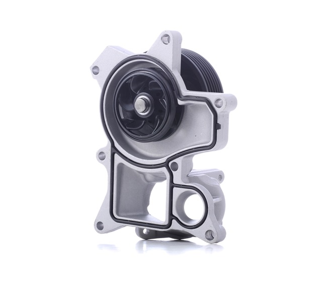 7998806 Vandpumpe STARK 5-serie pris