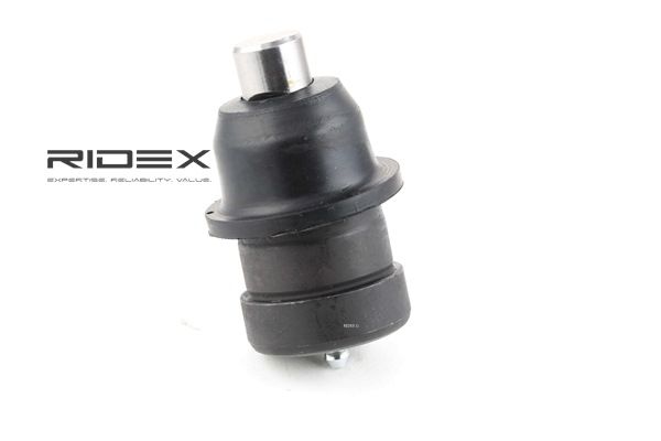 RIDEX 2462S0120 Podpora- / Kloub