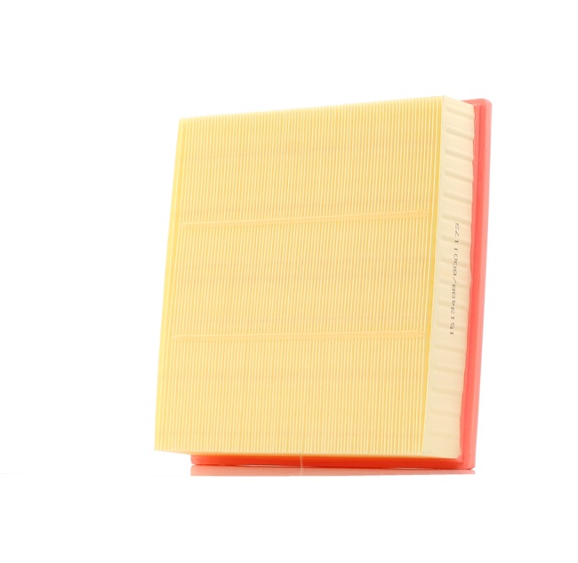 RIDEX 8A0100 Въздушен филтър