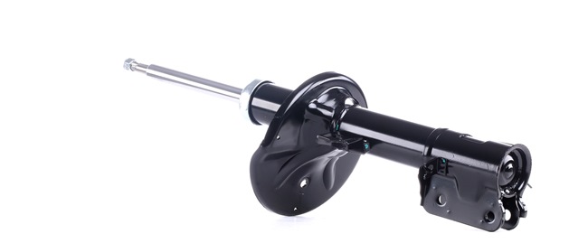 RIDEX 854S0384 Stoßdämpfer