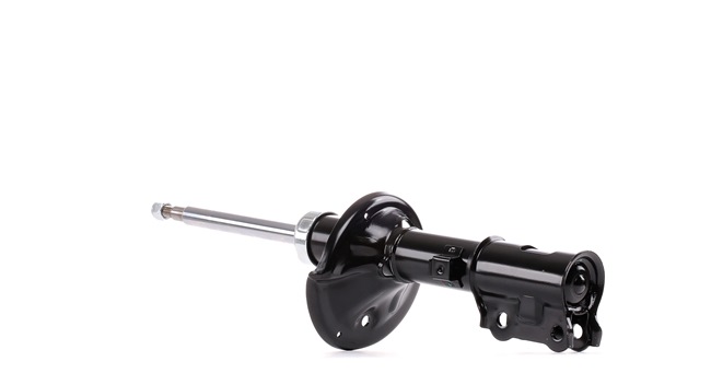 Stoßdämpfer 854S0929 RIDEX 5466025150 BMW, HYUNDAI, KIA