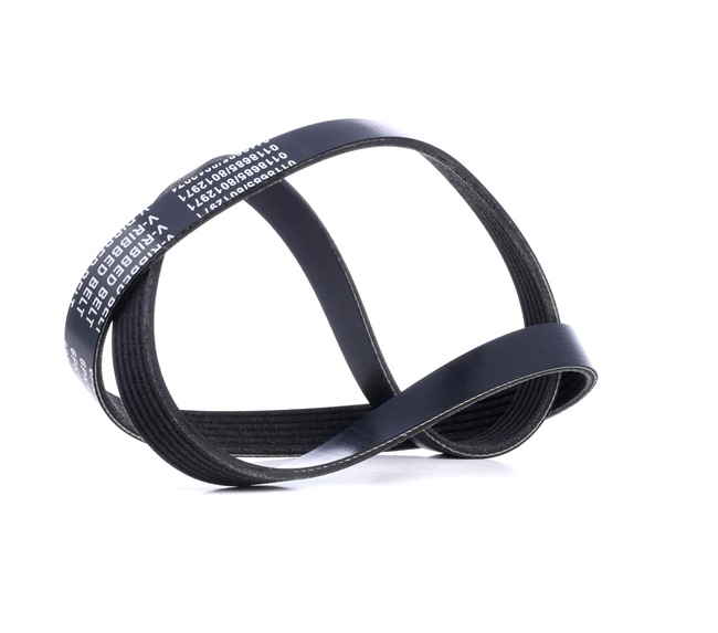 Courroie Poly-V 037260849C STARK SKPB-0090009 VOLKSWAGEN, AUDI, SKODA, SEAT, ALFA ROMEO