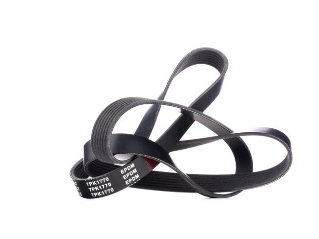 8013163 original Alternator belt STARK ESPACE