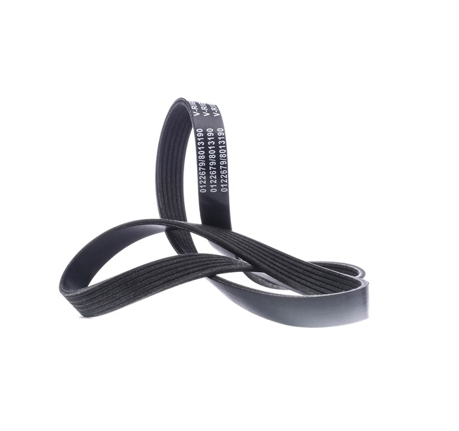 Keilrippenriemen SKPB-0090131 STARK 028260849H VW, BMW, AUDI, RENAULT, SKODA