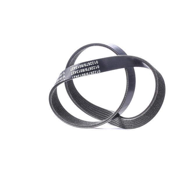 Pas wielorowkowy STARK SKPB-0090212