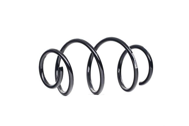 8051023 Federn SACHS Kia Preis