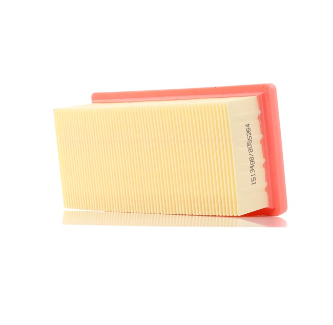 FILTRO ARIA A bagno d'olio con prefiltro a ciclone motore RUGGERINI EUR