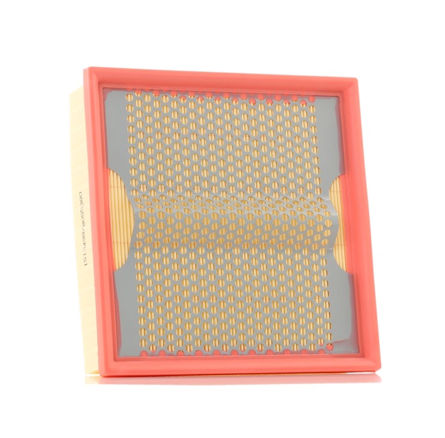 RIDEX 8A0349 Luftfilter