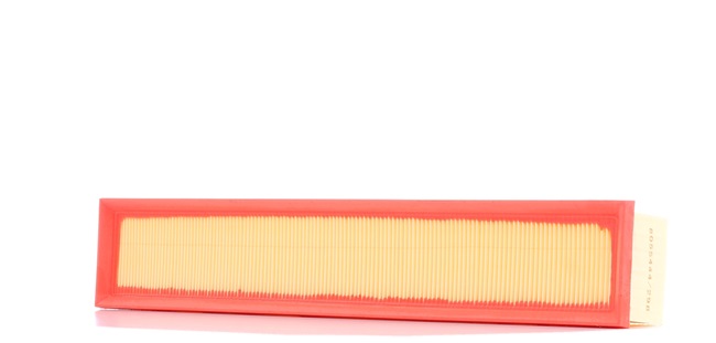 RIDEX 8A0422 Filtro aria
