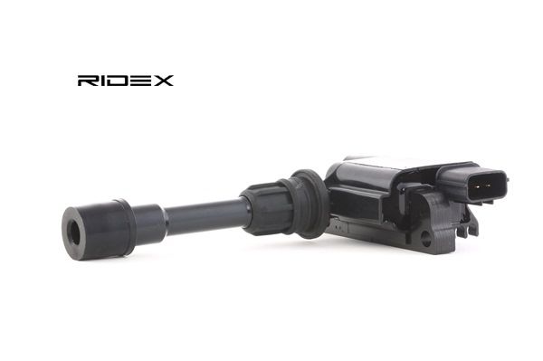 RIDEX 689C0080 Tennspole
