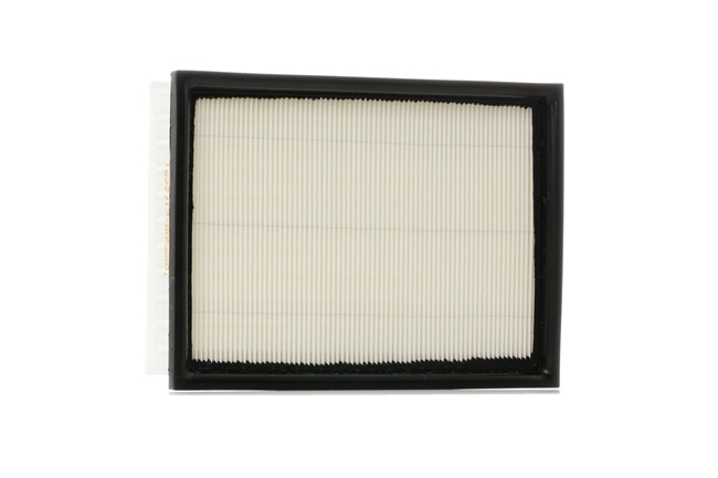RIDEX 8A0324 Filtre à air
