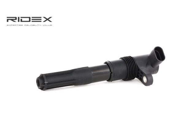 RIDEX 689C0095 Bobina de inductie