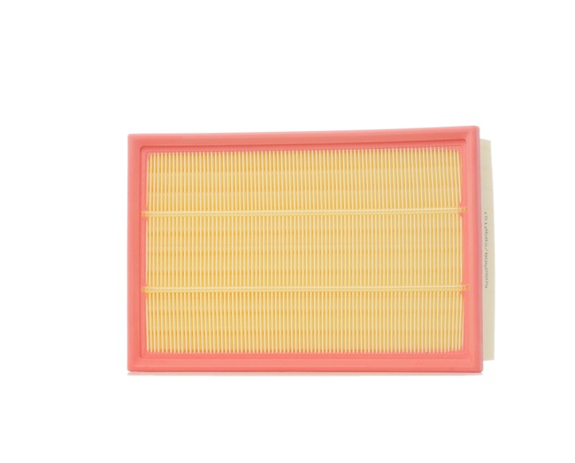 RIDEX 8A0311 Luftfilter